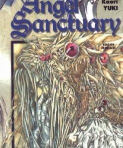Vol.13 Angel sanctuary
