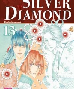 Vol.13 Silver Diamond (Enchaînement)