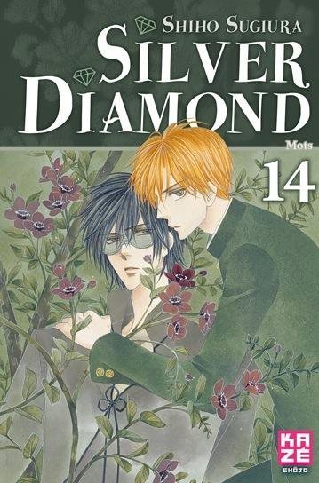 Vol.14 Silver Diamond (Mots)