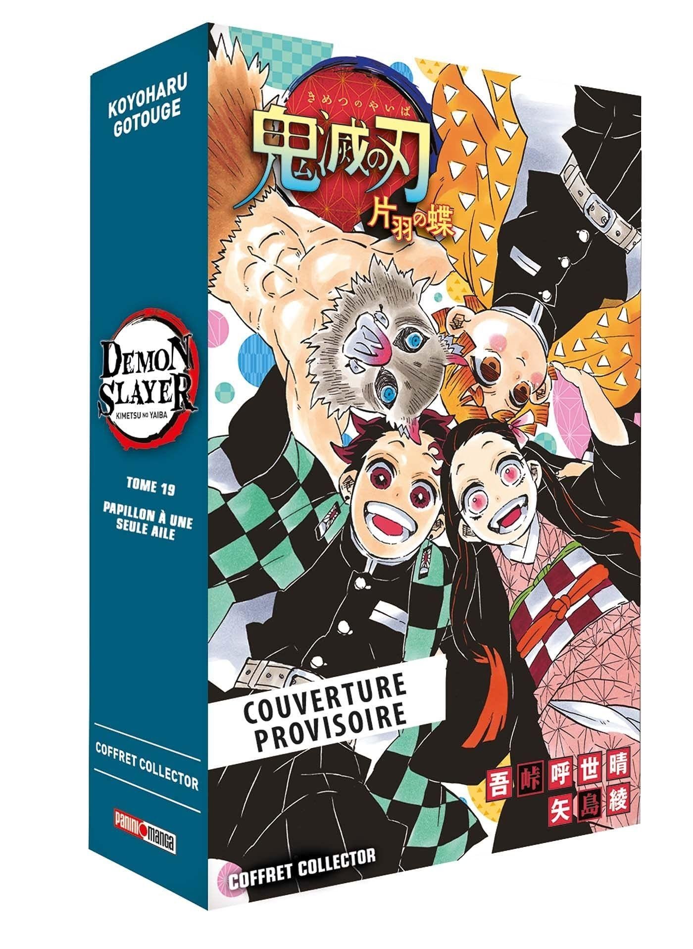 Vol.19 Demon Slayer - Collector