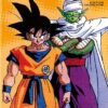 Vol.19 Dragon Ball - France Loisirs (Le plan d'attaque est lancé)