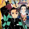 Vol.2 Demon Slayer - Roman jeunesse