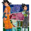 Vol.2 Dragon Ball Super - Coffret