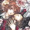 Vol.2 Vampire Knight - Edition double