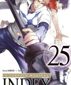 Vol.25 A Certain Magical Index