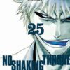 Vol.25 Bleach (No shaking throne)
