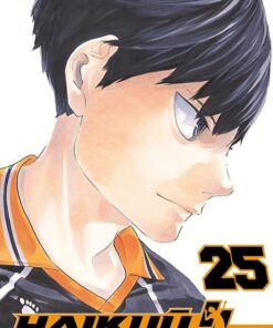 Vol.25 Haikyu !! - Les as du volley ball