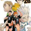 Vol.28 Haikyu !! - Les as du volley ball