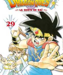 Vol.29 Dragon quest - La quête de Dai