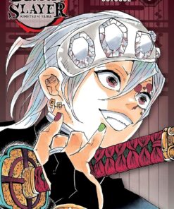 Vol.3 Demon Slayer - Edition Pilier