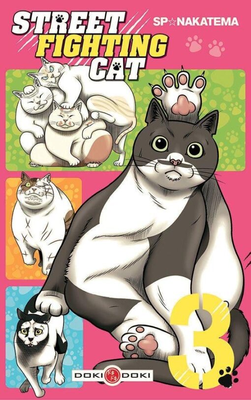 Vol.3 Street Fighting Cat