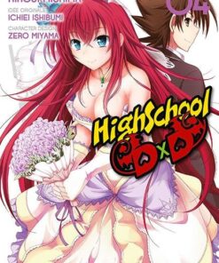 Vol.4 High School DxD
