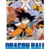 Vol.1 Dragon Ball - Roman (Les boules de cristal)