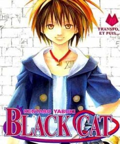 Vol.10 Black cat (Transfo, et puis)