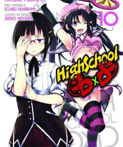 Vol.10 High School DxD