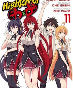 Vol.11 High School DxD