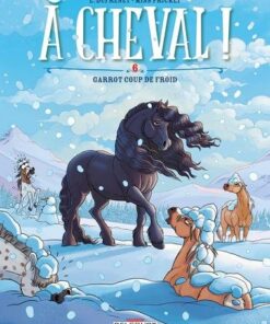 A cheval ! T06