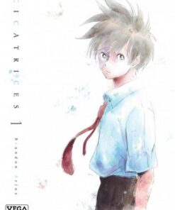 Cicatrices - tome 1