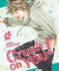 Crush on You ! T04