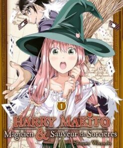 Harry Makito, Magicien et Sauveur de Sorcières T01