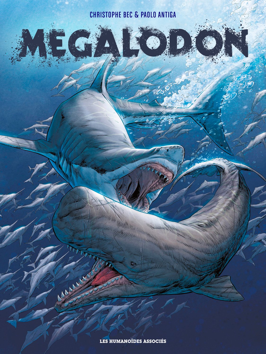 Mégalodon