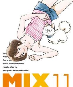 Mix T11