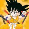 Vol.6 Dragon Ball - France Loisirs