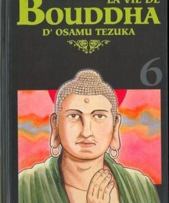 Vol.6 Vie de Bouddha - Deluxe (la) (Ananda)