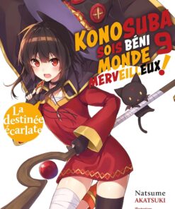 Vol.9 Konosuba - Sois Béni Monde Merveilleux - Light Novel
