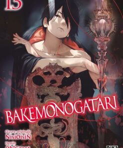 Bakemonogatari T13