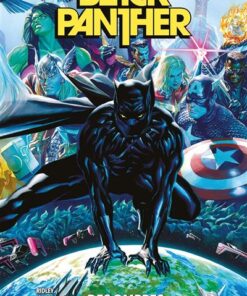 Black Panther T01 : Des ombres au tableau