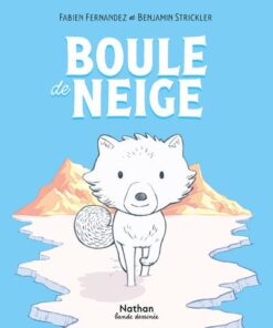 Boule de neige