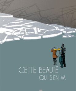 Cette beaute qui s'en va