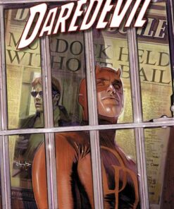 Daredevil T01 Le diable dans le bloc D