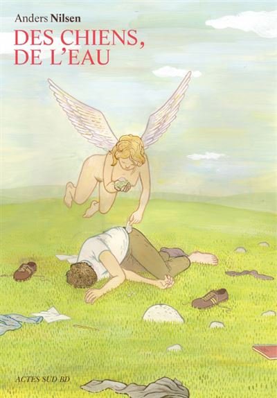 Des chiens, de l'eau