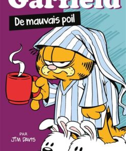 Garfield - De mauvais poil