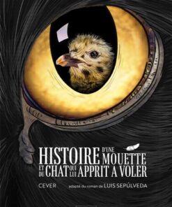 Histoire d'une mouette et du chat qui lui apprit à voler