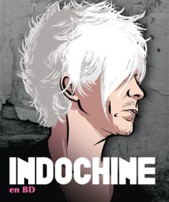 Indochine en BD