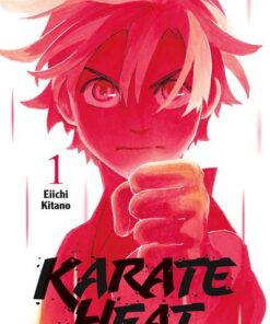 Karate Heat T01