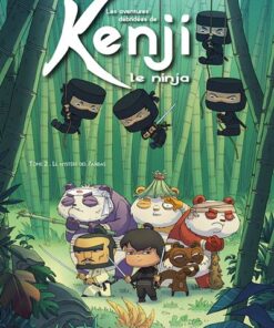 Kenji le ninja T2 GF