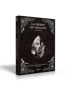 La pierre du dragon