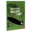 Le Crépuscule des ballons de foot
