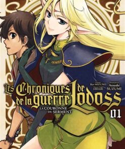 Les Chroniques de la guerre de Lodoss - Tome 01