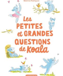 Les petites et grandes questions de Koala