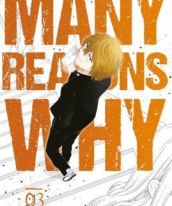 Many Reasons Why - tome 3 (VF)