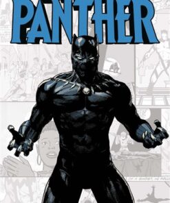 Marvel-Verse : Black Panther
