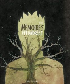 Mémoires effondrées