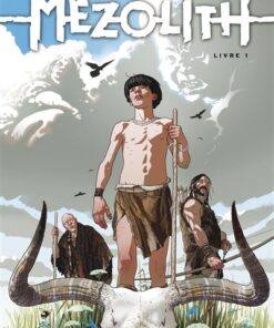 Mezolith T01