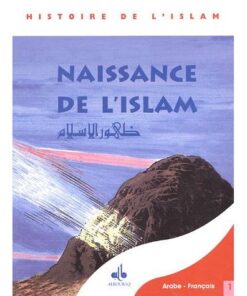 Naissance de l'Islam