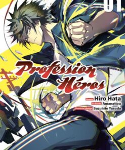 Profession Héros T01